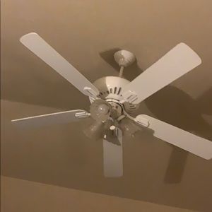 Meet your Posher, Shane